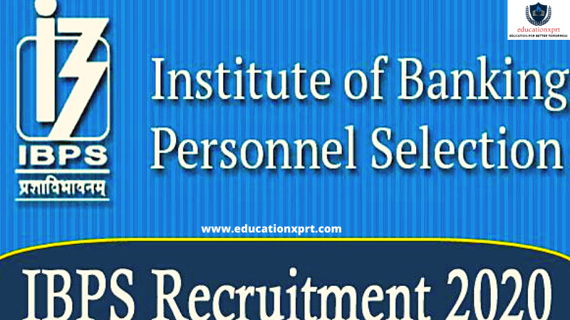 IBPS Faculty Recruitment 2020 Exam Date Revised @ibps.in, Check Details Here